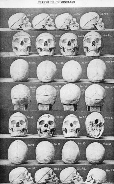 8_Portraits-and-skulls-of-criminal-women-collected-by-Lombroso-and-reproduced-in-his-Atlas-de-lhomme-criminel-1878.